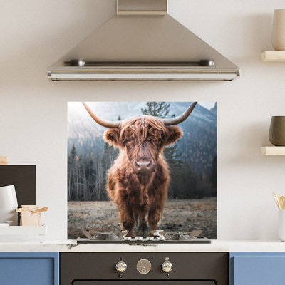 Premium 70cm x 65cm 6mm Glass Highland Cow Kitchen Splashback Toughened Polished Edge