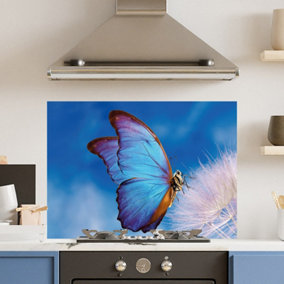 Premium 90cm x 65cm 6mm Glass Blue Butterfly Kitchen Splashback Toughened Polished Edge