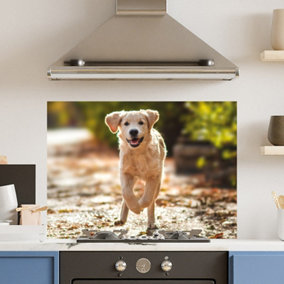 Premium 90cm x 65cm 6mm Glass Dog Kitchen Splashback Toughened Polished Edge