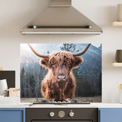 Premium 90cm x 65cm 6mm Glass Highland Cow Kitchen Splashback Toughened Polished Edge