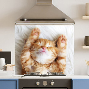 Premium 90cm x 75cm 6mm  Glass Cute Cat Kitchen Splashback Various Sizes Toughened - 90 cm