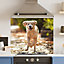 Premium 90cm x 75cm 6mm  Glass Running Dog Kitchen Splashback Various Sizes Toughened - 90 cm