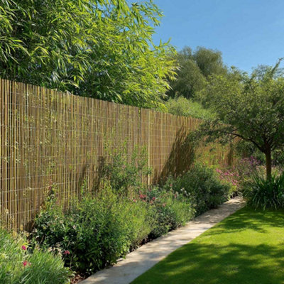 Premium Bamboo Cane Fencing Screening Rolls 3m(L) x 1.8m(H) at B&Q