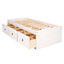 Premium Corona white cabin bed 3'0" single bed, white wax pine