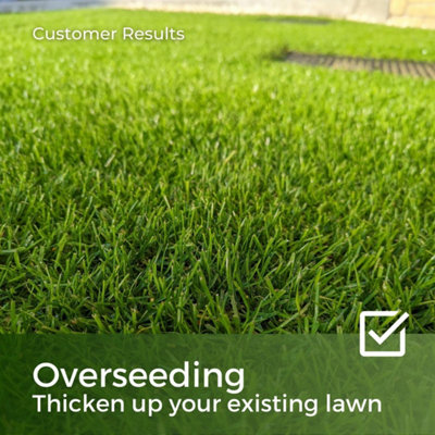 Premium Hard Wearing Grass Seed - 15-45m² Lawn Seed
