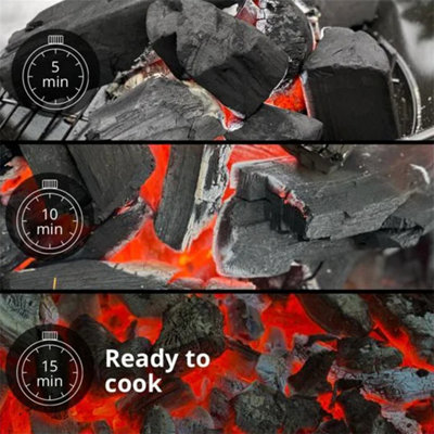 Premium Hardwood Lumpwood Birch Restaurant Charcoal 10kg