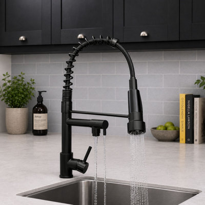 Premium Pull-Out Kitchen Mixer Tap with Dual Spout Spray - Mono Single ...