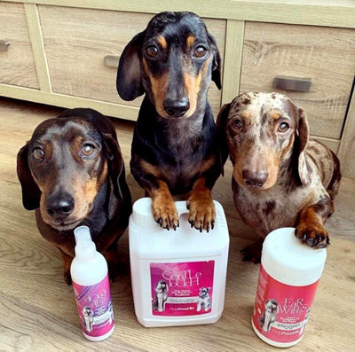 Pretty Pooch Gentle Touch Dog Shampoo & Conditioner - 2 Litres (Baby Powder Fragrance)