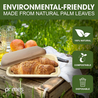 PRIMES DIY 750ML Capacity Areca Leaf Container Box, Made of Natural, Food Safe Meal Prep Container,  Safe Container Box(10 PCS)
