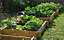 Primrose 200L Chamberlain Garden Wooden Raised Grow Bed  100cm x 100cm