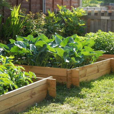 Primrose 248L Chamberlain Garden Wooden Raised Grow Bed 155cm x 80cm