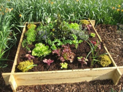 Primrose 248L Chamberlain Garden Wooden Raised Grow Bed 155cm x 80cm - 5
