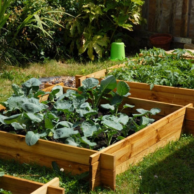 Primrose 248L Chamberlain Garden Wooden Raised Grow Bed 155cm x 80cm - 6