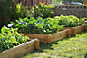 Primrose 270L Chamberlain Garden Wooden Raised Grow Bed 100cm x 100cm