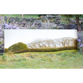 Primrose Acrylic Non Shatter Outdoor Wall Mounted Large Gold Rectangular Garden Illusion Mirror 180cm x 44cm