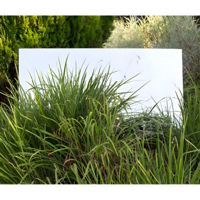 Primrose Acrylic Non Shatter Outdoor Wall Mounted Rectangular Silver Garden Illusion Mirror 182cm x 75cm