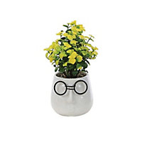 Primrose Artificial House Plant in White Pot with Black Glasses Design 17cm