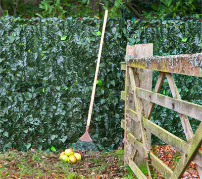 Primrose Artificial Ivy Leaf Screening Hedge Roll Privacy Screen W3m x H1m - 5