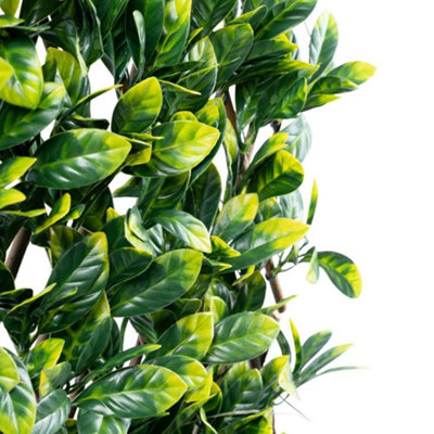 Primrose Artificial Laurel Extendable Trellis Plastic Hedge Garden Fence Screening Privacy 2m x 1m - 3