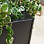 Primrose Black Flared Tapered Outdoor Planter Zinc Galvanised Pot 116cm x 52cm