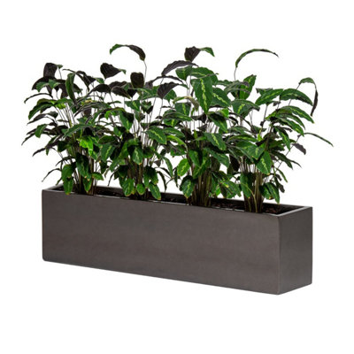 Primrose Black Gloss Polystone Low Trough Planter 120cm
