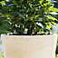 Primrose Cream Round Handmade Fiberstone Planter 60cm