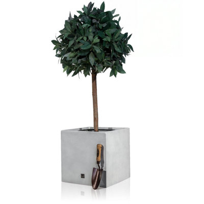 Primrose Fibreglass Cube Gloss Planter in Silver 50cm