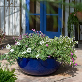 Primrose Garden Royal Blue Glaze Effect Bowl Planter 55cm