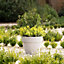 Primrose Grey Medium Outdoor Polystone Round Rimmed Garden Planter Diameter 38cm