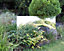 Primrose Large Narrow Garden Mirror 180cm x 44cm