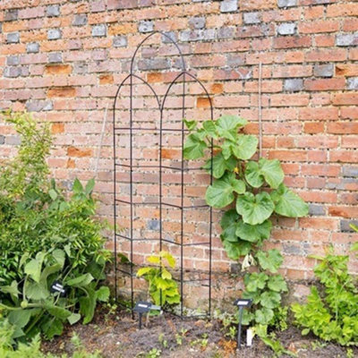 Primrose Offset Metal Spire Design Trellis in Black Powder Coating 182cm