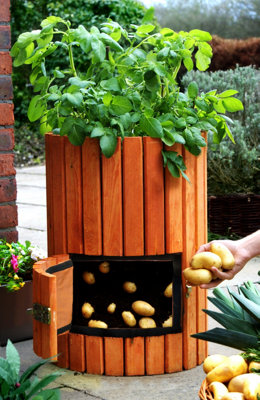 Primrose Original Wooden Potato Barrel - Grow Your Own Vegetables 40L 60cm x 35cm