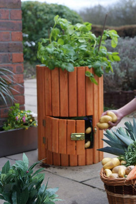 Primrose Original Wooden Potato Barrel - Grow Your Own Vegetables 40L 60cm x 35cm