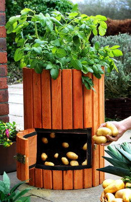 Primrose Original Wooden Potato Barrel - Grow Your Own Vegetables 40L 60cm x 35cm