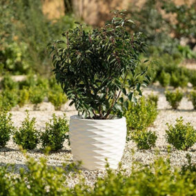 Primrose Plant Pot Round Bilbao Flower Pot Recycled Plastic Planter in Ivory Medium 43cm