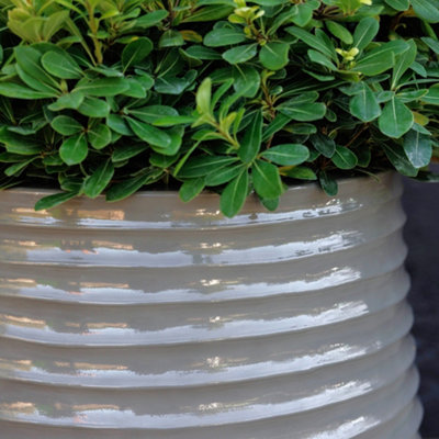 Primrose Ribbed Grey Ombre Round Outdoor Flower Pot Patio Garden ...