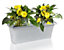 Primrose Silver Zinc Galvanised Trough Indoor Outdoor Planter Flower Plant Pot 60cm