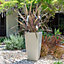 Primrose Stone Effect Resin Indoor Outdoor Flared Planter Trough in White 76cm