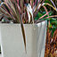 Primrose Stone Effect Resin Indoor Outdoor Flared Planter Trough in White 76cm