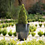 Primrose Tall Round Outdoor Patio Planter in Dark Green 53cm