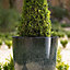 Primrose Tall Round Outdoor Patio Planter in Dark Green 53cm