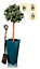 Primrose Teal Flared Square Aluzinc Indoor Outdoor Planter 70cm