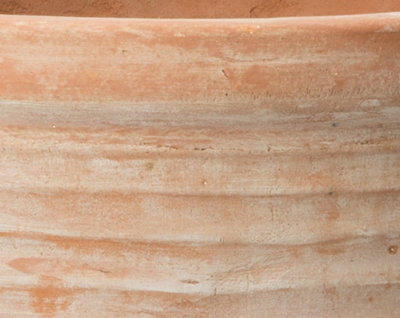 Primrose Terracotta Egg Planter 43cm - 3