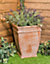 Primrose Terracotta Orange Tapered Outdoor Patio Garden Cube Planter 49cm
