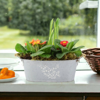 Primrose Tete a Tete Planted Trough Container Vibrant Gift of Spring ...