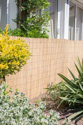 Primrose Thick Natural Bamboo Style Reed Outdoor Screening Patio Fencing W300cm x H200cm - 5