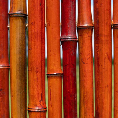 Primrose Thick Red Natural Bamboo Screening Roll Privacy Border Screen 1.9m x 1.8m