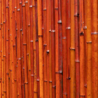 Primrose Thick Red Natural Bamboo Screening Roll Privacy Border Screen 1.9m x 1.8m - 3