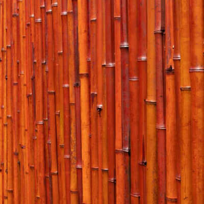 Primrose Thick Red Natural Bamboo Screening Roll Privacy Border Screen 1.9m x 1.8m