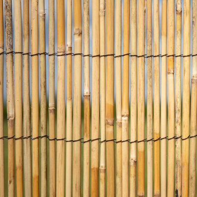 Primrose Thick Reed Bamboo Style Natural Screening Roll Garden Privacy ...